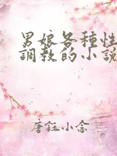 男娘各种性道具调教的小说