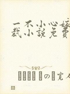 一不小心嫁了总裁小说免费阅读全文