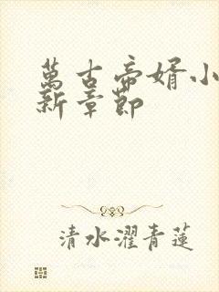 万古帝婿小说最新章节