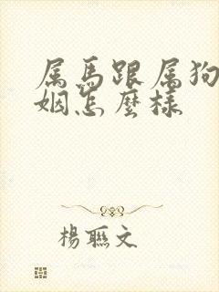 属马跟属狗的婚姻怎么样