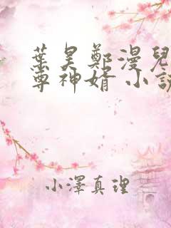 叶昊郑漫儿 至尊神婿 小说