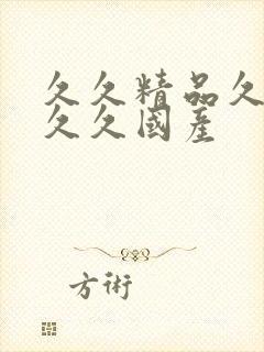 久久精品久久久久久国产