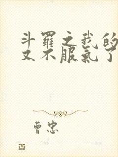 斗罗之我的系统又不服气了免费阅读