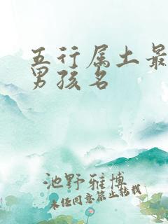 五行属土最旺的男孩名