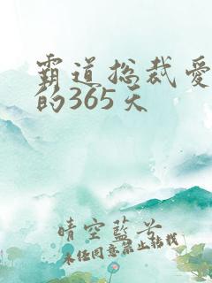 霸道总裁爱上我的365天