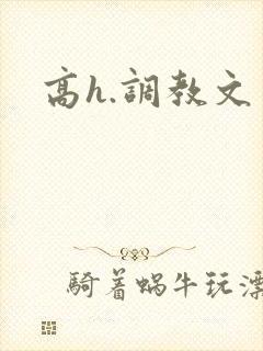 高h.调教文