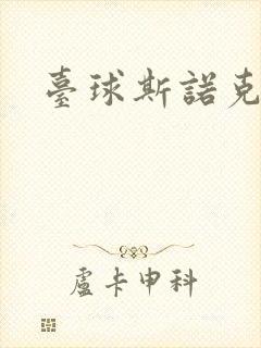 台球斯诺克安装