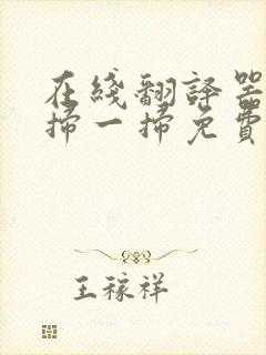 在线翻译器拍照扫一扫免费的