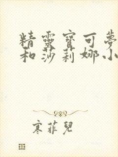 精灵宝可梦小智和莎莉娜小说