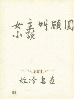 女主叫顾圆圆的小说