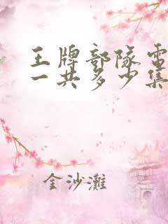 王牌部队电视剧一共多少集