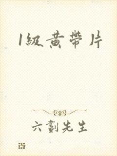 1级黄带片