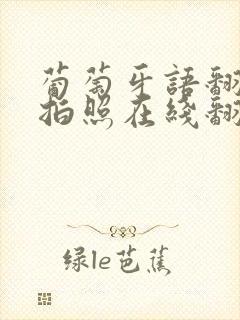 葡萄牙语翻译器拍照在线翻译扫一扫