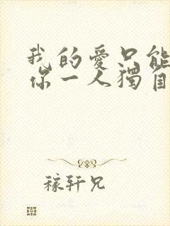 我的爱只能够让你一人独自拥有是什么歌