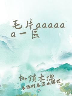 毛片aaaaaa一区