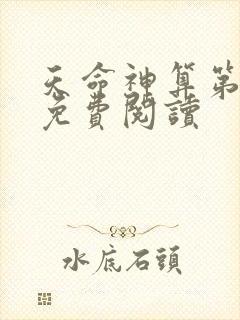 天命神算第一章免费阅读