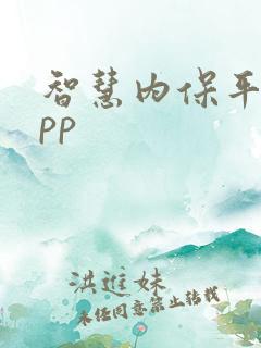 智慧内保平台app