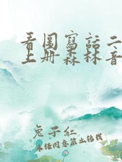 看图写话二年级上册森林音乐会