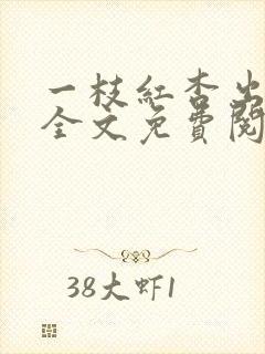 一枝红杏出农门全文免费阅读