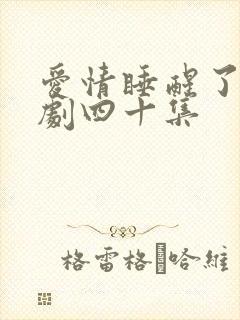 爱情睡醒了连续剧四十集