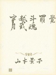 穿越斗罗觉醒日月武魂