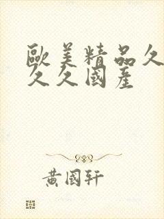 欧美精品久久久久久国产