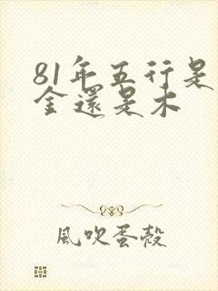 81年五行是属金还是木