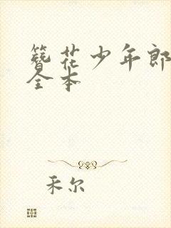 簪花少年郎阅读全本