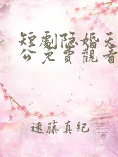 短剧隐婚天价老公免费观看