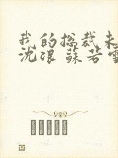 我的总裁未婚妻沈浪 苏若雪