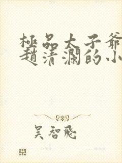 极品太子爷李辰赵清澜的小说