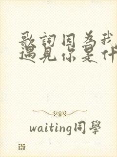 歌词因为我刚好遇见你是什么歌