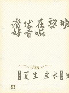 潜伏在黎明之前好看嘛