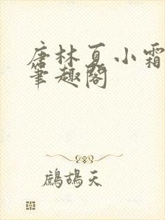 唐林夏小霜小说笔趣阁