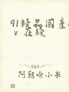 91精品国产aⅴ在线