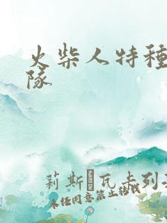 火柴人特种兵小队