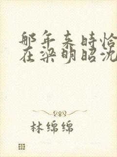 那年来时恰逢你在梁明昭沈砚卿全文小说