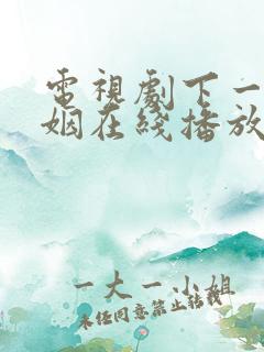 电视剧下一站婚姻在线播放