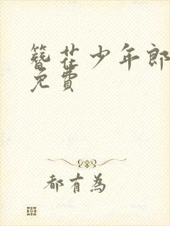 簪花少年郎小说免费