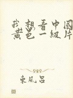 我想看中国国产黄色一级片