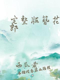 完整版簪花少年郎