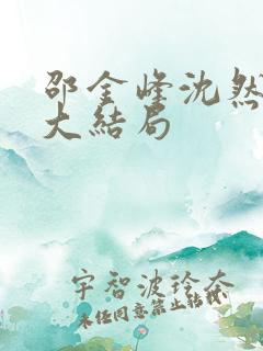 邵金峰沈然小说大结局