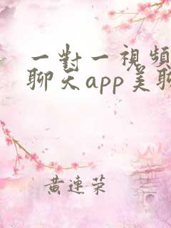 一对一视频交友聊天app美聊