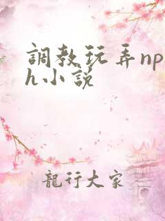 调教玩弄np高h小说