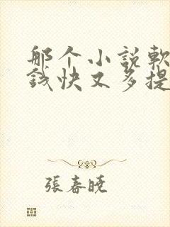 那个小说软件赚钱快又多提现快