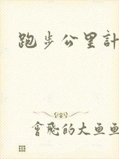 跑步公里计时器