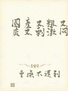 国产又粗又黄又爽又刺激网站