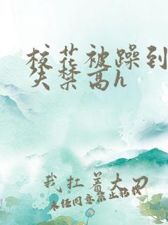 校花被躁到高潮失禁高h