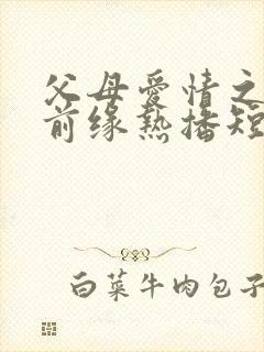 父母爱情之再续前缘热播短剧