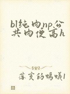 bl纯肉np公共肉便高h